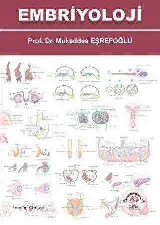 691f405e71131-1.webp Embriyoloji - Görsel 1