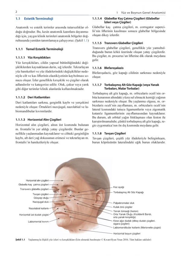 Dolgu ve Botulinum Toksini Enjeksiyonu İçin Yüzün Klinik Anatomisi ve Uygulama Teknikleri ( 2.BASKI ) - Görsel 6