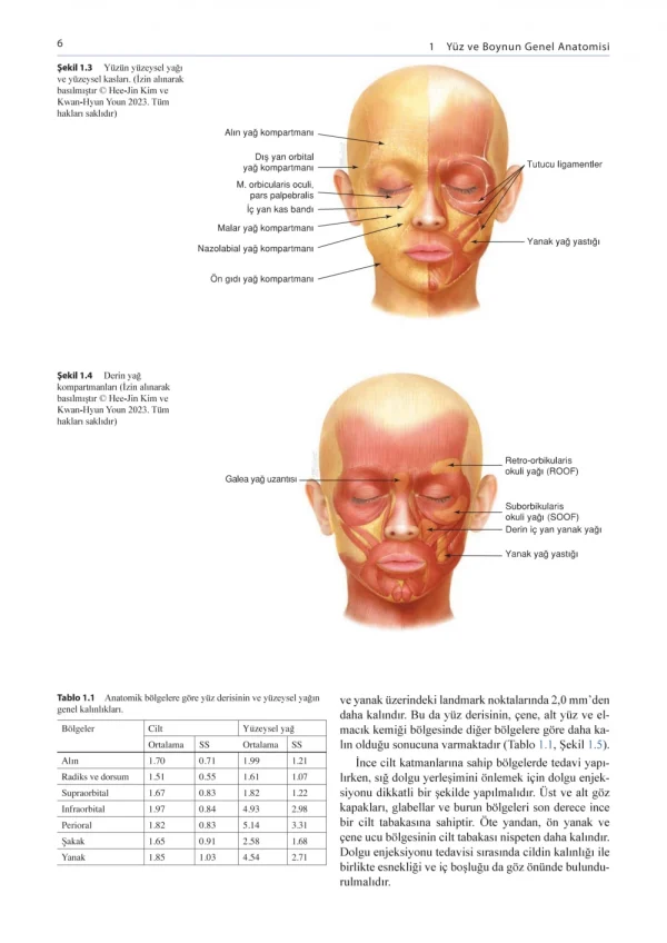 Dolgu ve Botulinum Toksini Enjeksiyonu İçin Yüzün Klinik Anatomisi ve Uygulama Teknikleri ( 2.BASKI ) - Görsel 8